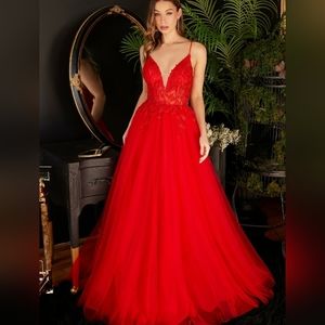 Red or blue lace applique tulle long sleeveless dress